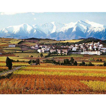 Entre Mer Et Montagne Montner Dış mekan fotoğraf