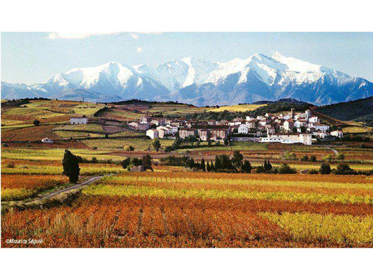 Entre Mer Et Montagne Montner Dış mekan fotoğraf